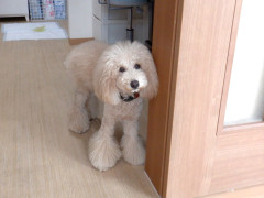 DSCF3443.JPG