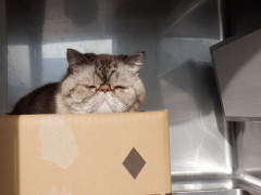DSCF3441.JPG