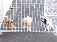 DSCF3472.JPG