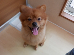 DSCF3492.JPG