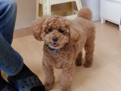 DSCF3489.JPG