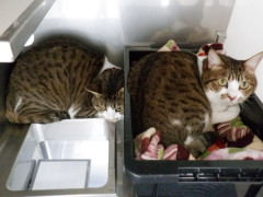 DSCF3494.JPG