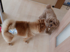 DSCF3501.JPG