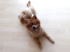 DSCF3504.JPG