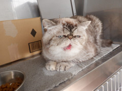 DSCF3495.JPG