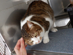 DSCF3520.JPG