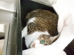 DSCF3523.JPG