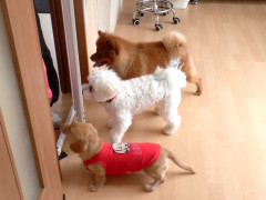 DSCF3547.JPG