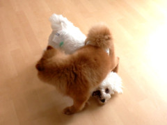 DSCF3526.JPG
