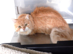 DSCF3589.JPG