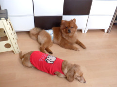DSCF3584.JPG