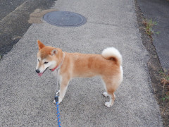 DSCF3551.JPG
