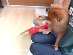 DSCF3557.JPG