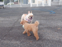 DSCF3613.JPG