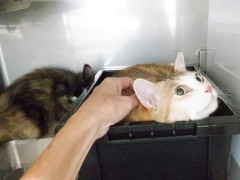 DSCF3624.JPG