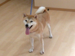 DSCF3615.JPG