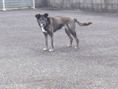 DSCF3594.JPG