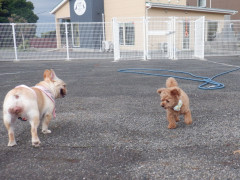 DSCF3609.JPG