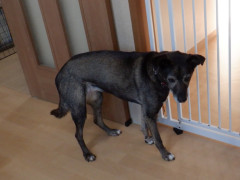 DSCF3628.JPG