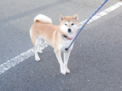 DSCF3653.JPG