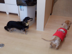 DSCF3681.JPG