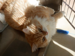DSCF3663.JPG