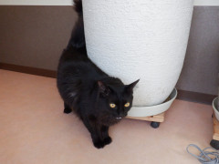 DSCF3667.JPG
