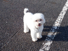 DSCF3697.JPG