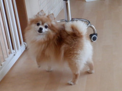 DSCF3723.JPG