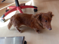 DSCF3730.JPG