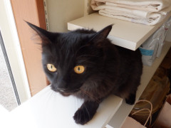 DSCF3716.JPG