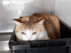 DSCF3711.JPG
