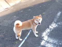 DSCF3742.JPG