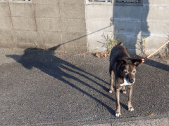 DSCF3747.JPG