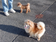 DSCF3770.JPG