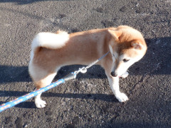 DSCF3774.JPG