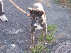 DSCF3773.JPG