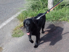 DSCF3782.JPG