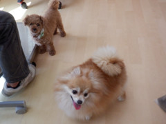 DSCF3796.JPG
