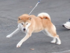 DSCF3803.JPG