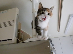 DSCF3801.JPG