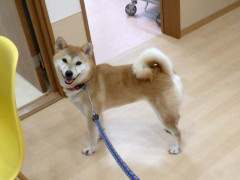 DSCF3854.JPG