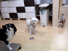 DSCF3883.JPG