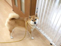 DSCF3885.JPG