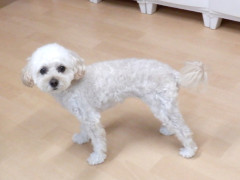 DSCF3894.JPG