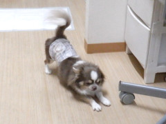 DSCF3892.JPG
