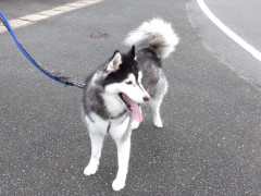 DSCF3898.JPG
