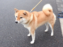 DSCF3905.JPG