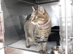 DSCF3924.JPG