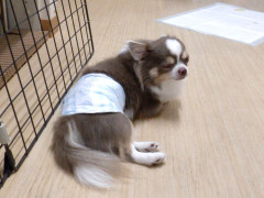 DSCF3929.JPG